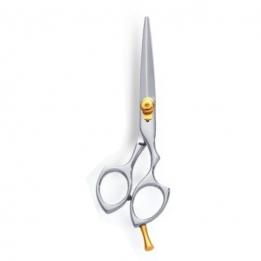 Professional Hair Cutting Scissor