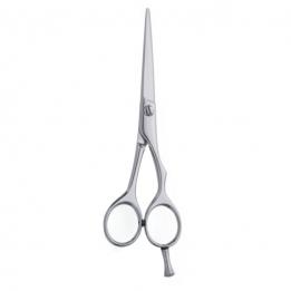 Professional Hair Cutting Scissor