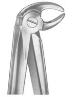 Extracting Forceps English pattern 