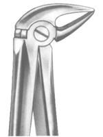 Extracting Forceps English pattern 