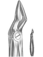 Extracting Forceps English pattern 