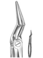 Extracting Forceps English pattern 