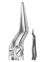 Relax Extracting Forceps 