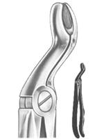 Relax Extracting Forceps 