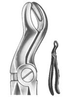 Relax Extracting Forceps 