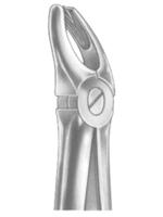 Relax Extracting Forceps 