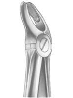 Relax Extracting Forceps 