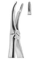 Extracting Forceps English pattern 