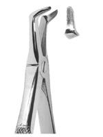 Extracting Forceps English pattern 