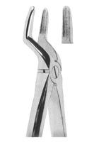 Extracting Forceps English pattern 