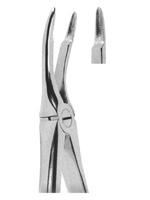 Extracting Forceps English pattern 