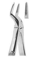 Extracting Forceps English pattern 