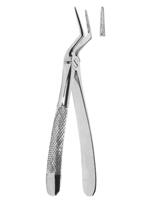 Extracting Forceps English pattern 