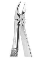 Extracting Forceps English pattern