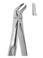 Extracting Forceps English pattern 