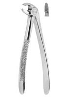 Extracting Forceps English pattern 