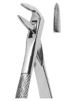 Extracting Forceps English pattern 