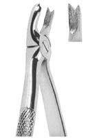 Extracting Forceps English pattern 