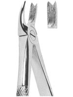 Extracting Forceps English pattern 