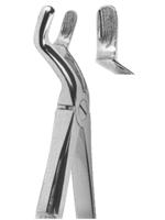 Extracting Forceps English pattern 