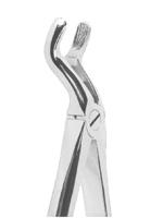 Extracting Forceps English pattern