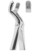 Extracting Forceps English pattern 