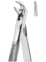 Extracting Forceps English pattern 