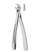 Extracting Forceps English pattern 