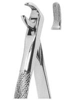 Extracting Forceps English pattern 