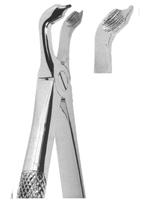 Extracting Forceps English pattern 