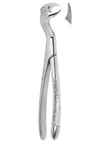 Extracting Forceps English pattern 