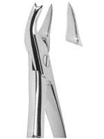 Extracting Forceps English pattern 