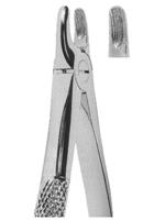 Extracting Forceps English pattern 