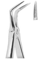 Extracting Forceps English pattern 