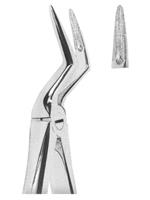 Extracting Forceps English pattern 