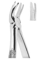 Extracting Forceps English pattern 