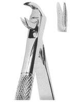 Extracting Forceps English pattern 