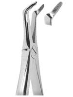 Extracting Forceps English pattern 