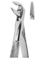 Extracting Forceps English pattern 