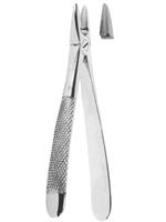 Extracting Forceps English pattern 