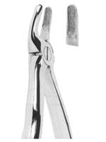 Extracting Forceps With Anatomically Shaped Handle