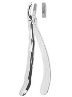 Extracting Forceps With Anatomically Shaped Handle