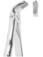 Extracting Forceps With Anatomically Shaped Handle