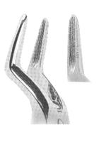 Extracting Forceps With Anatomically Shaped Handle