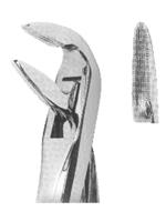 Extracting Forceps With Anatomically Shaped Handle