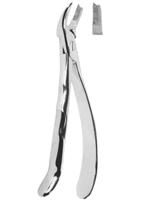 Extracting Forceps With Anatomically Shaped Handle