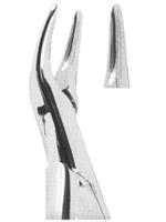 Extracting Forceps American pattern 