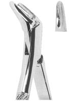 Extracting Forceps American pattern 