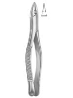 Extracting Forceps American pattern 