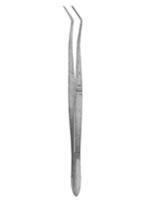 Dental Tweezers 